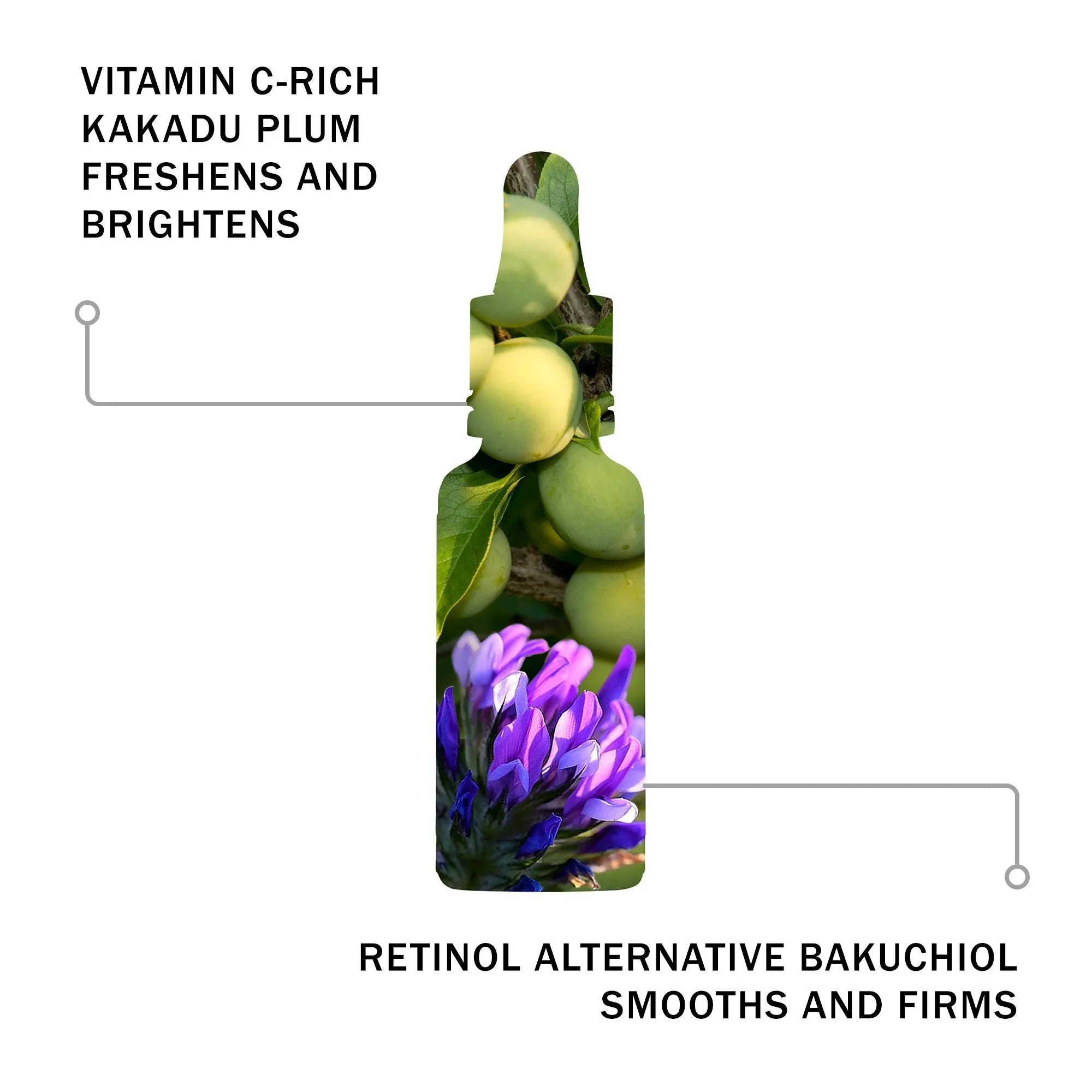 Antipodes Glow Ritual Vitamin C Serum With Plant Hyaluronic Acid