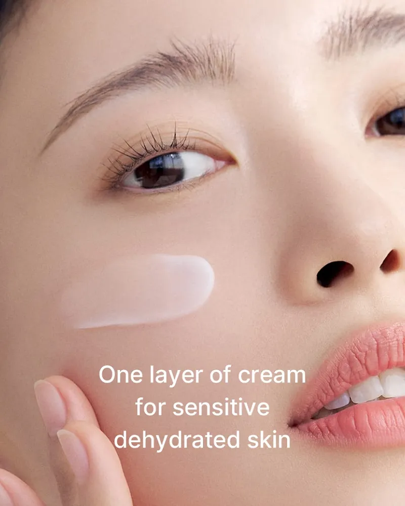 celimax Oil Control Moisturizing Cream