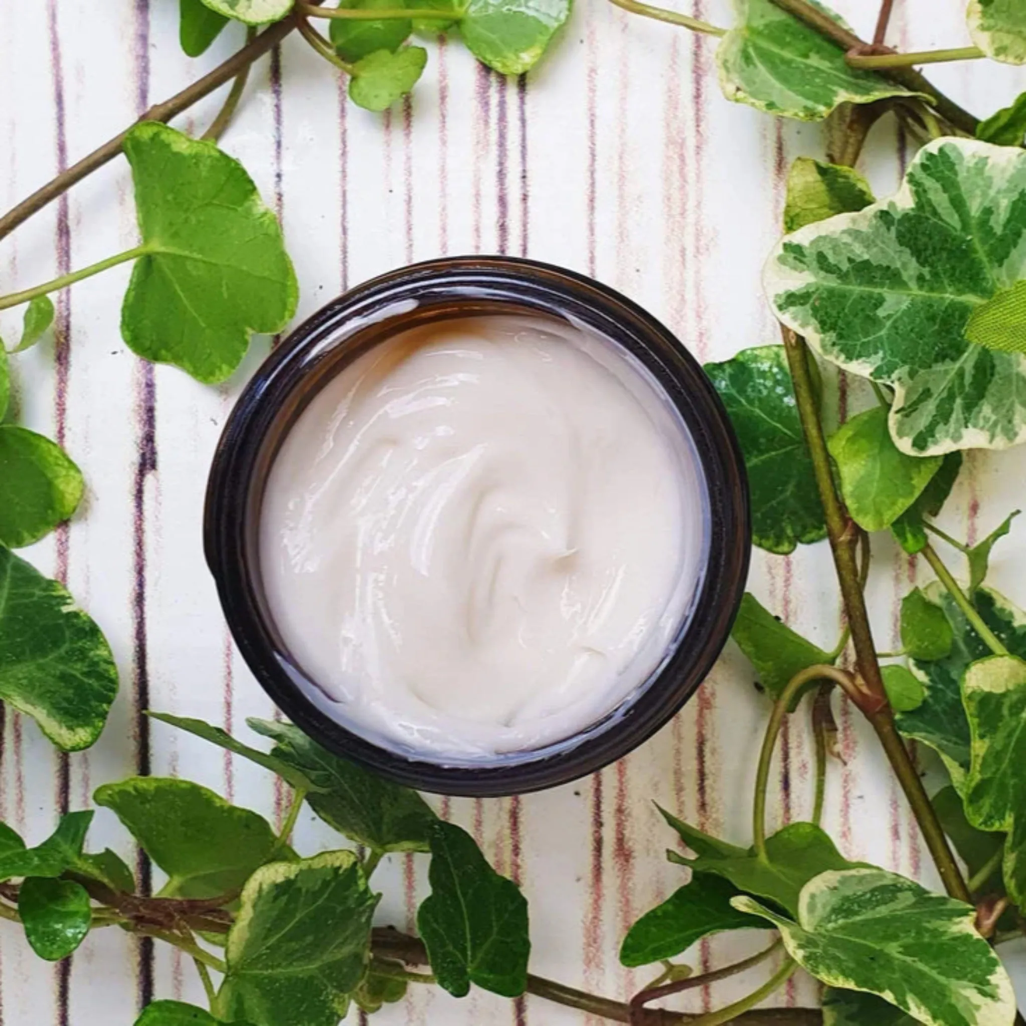 Daily Renew Facial Cream - Evolve Organic Beauty